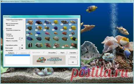 SereneScreen Marine Aquarium 3.3.6041 | SoftoDrom | Группы Мой Мир