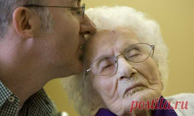 Как шампиньоны способны устранить запах старости | Я Могу | Яндекс Дзен