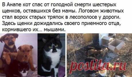 Дневник GRFinya