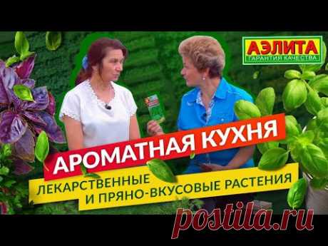 Ароматная Кухня. ЗДОРОВО и ВКУСНО. Лекарственные и пряно-вкусовые растения.