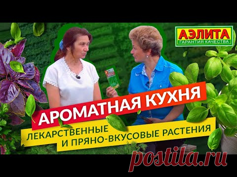 Ароматная Кухня. ЗДОРОВО и ВКУСНО. Лекарственные и пряно-вкусовые растения.