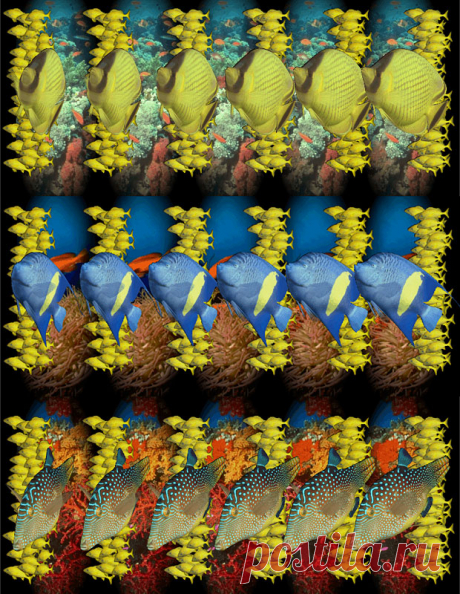 Стереозрение и как его можно использовать 
ЧТО ТАКОЕ СТЕРЕОГРАММЫ SIRDS (Single Image Random Dot Stereo grams) или стереограммы, стерео картинки — это графические изображения, при особом рассмотрении которых можно увидеть объемное стереоизобр…