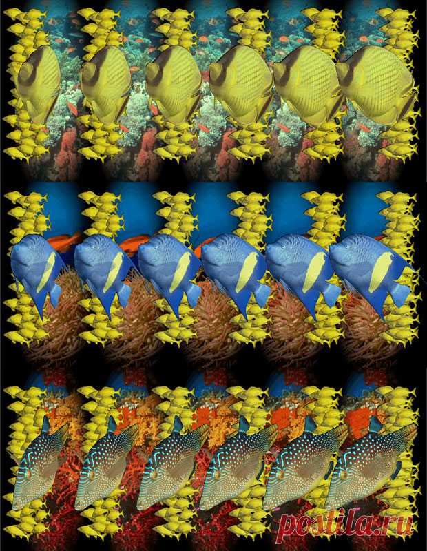 Стереозрение и как его можно использовать 
ЧТО ТАКОЕ СТЕРЕОГРАММЫ SIRDS (Single Image Random Dot Stereo grams) или стереограммы, стерео картинки — это графические изображения, при особом рассмотрении которых можно увидеть объемное стереоизобр…