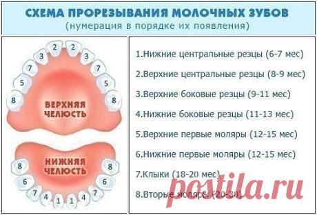 (62) Одноклассники