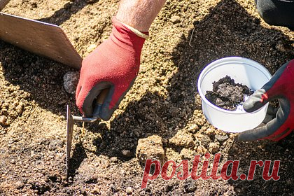 В российском регионе нашли загадочный саркофаг