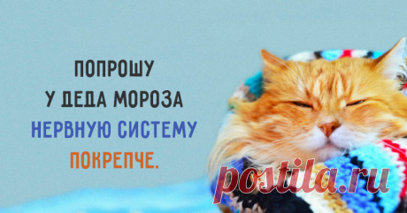 Ценнейший подарок 👌