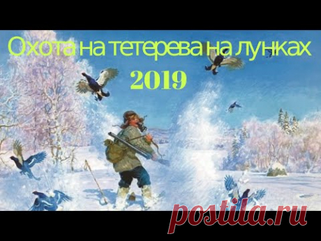 Охота на тетерева на лунках 2019_охота на тетерева из под снега!