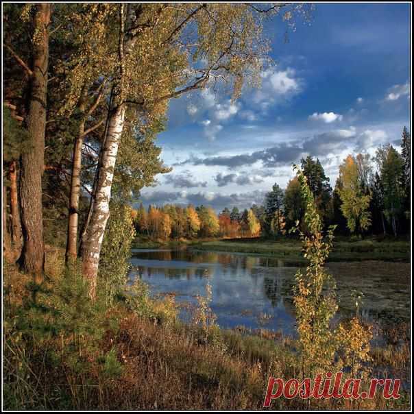 у реки