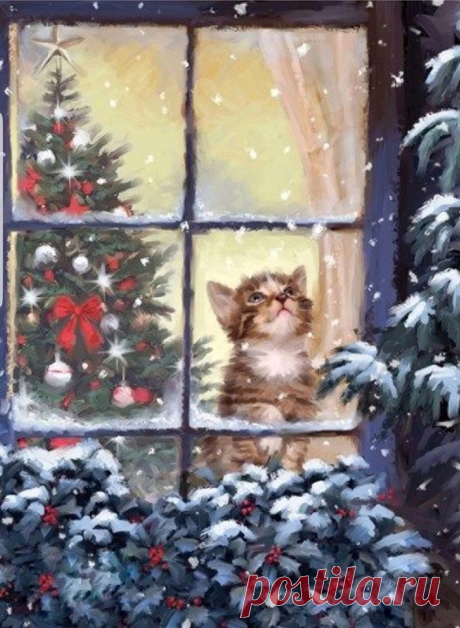 Художник Richard Macneil