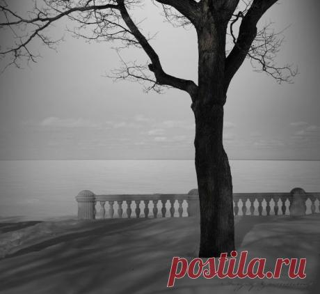 Grimmmy — «На краю безмолвия...» на Яндекс.Фотках