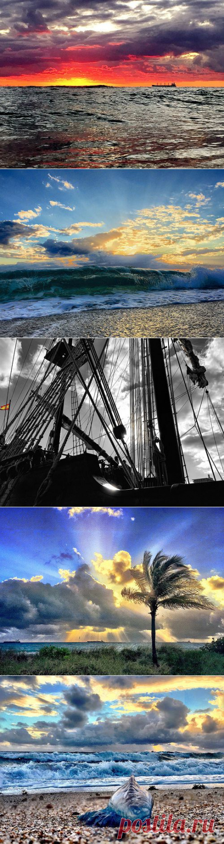 Photostream Энди Ройстон / Форт Лодердейл Солнца: Flickr