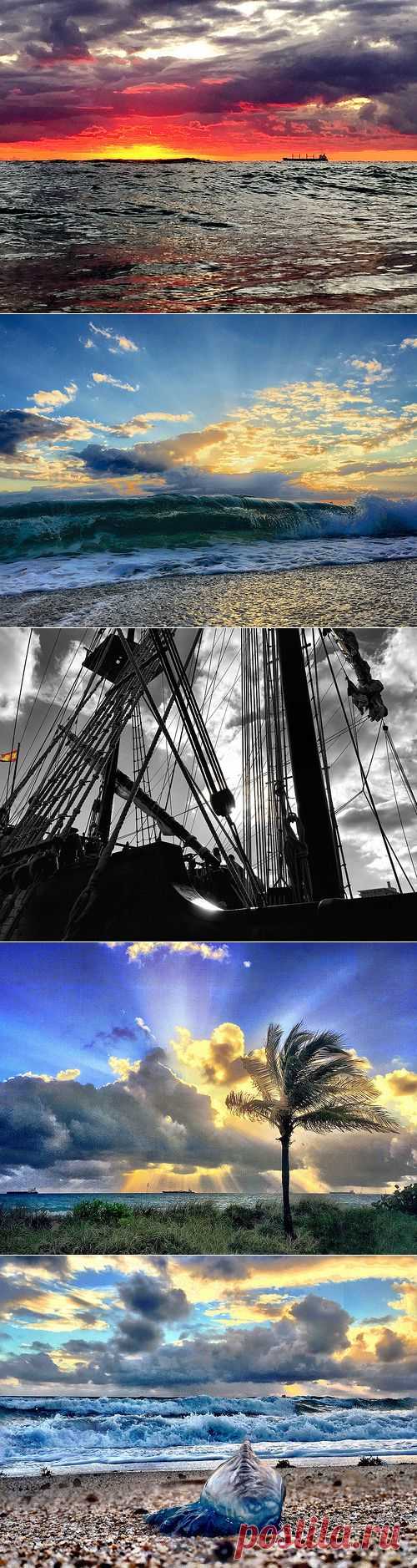 Photostream Энди Ройстон / Форт Лодердейл Солнца: Flickr