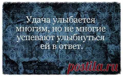 статусы,пословицы,мысли,стихи о любви и о жизни