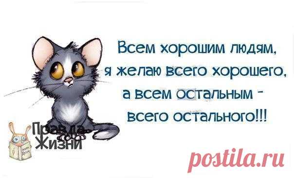 Мой Мир@Mail.Ru