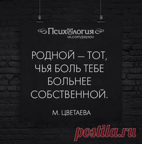 c0fc81c498d331f291db20f200792bb3.jpg (595×604)