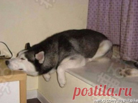 Алия Талайбекова
22 года, Кыргызстан, Каракол