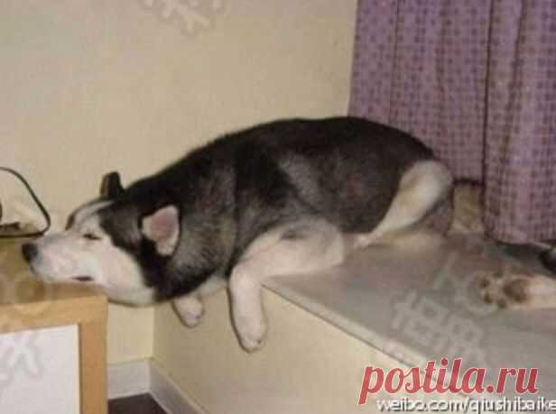 Алия Талайбекова
22 года, Кыргызстан, Каракол