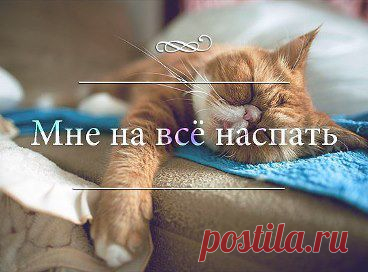 Лидия Ганженко считает классным альбом КОШЕЧКИ.... в группе МУЗЫКА СЕРДЦА.СТИХИ