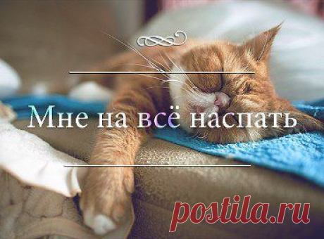 Лидия Ганженко считает классным альбом КОШЕЧКИ.... в группе МУЗЫКА СЕРДЦА.СТИХИ