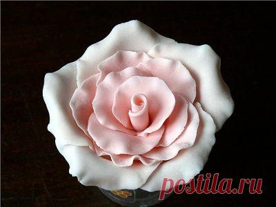 Сладкая розочка из мастики — Сделай сам, идеи для творчества - DIY Ideas