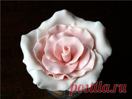 Сладкая розочка из мастики — Сделай сам, идеи для творчества - DIY Ideas