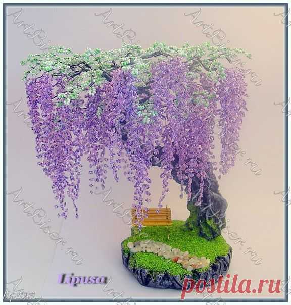 (9) Gallery.ru / Фото #9 - Дерево. Вистерия (Глициния) - COBECTb