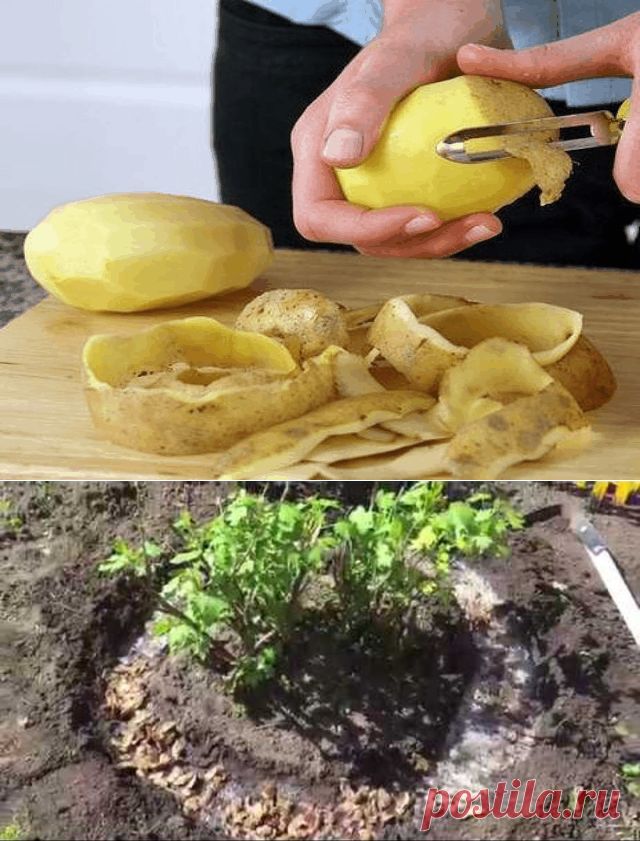 Одноклассники