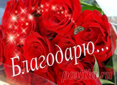 ....Но тогда, эта необходимость за все благодарить - на ней не было так заострено внимание.
И только позже,уже сейчас,жизнь меня привела к этому пониманию- за что большая благодарность моей жизни,что это случилось.....