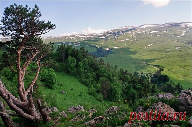 ПУТЕШЕСТВИЕ В ГОЛУБЫЕ ЗОНЫ ДОЛГОЛЕТИЯ РОССИИ На нашей планете существует всего несколько «голубых зон долголетия», где население продолжает активную жизнь даже в столетнем возрасте. Все эти зоны, как выяснили ученые, расположены в горных районах…