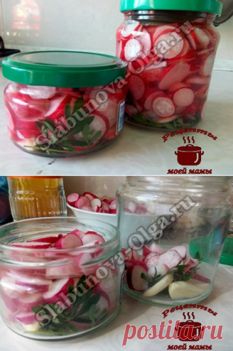 Редиска, маринуем впрок. Рецепт. Фото