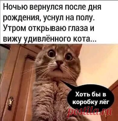 02a5a183.jpg (391×400)