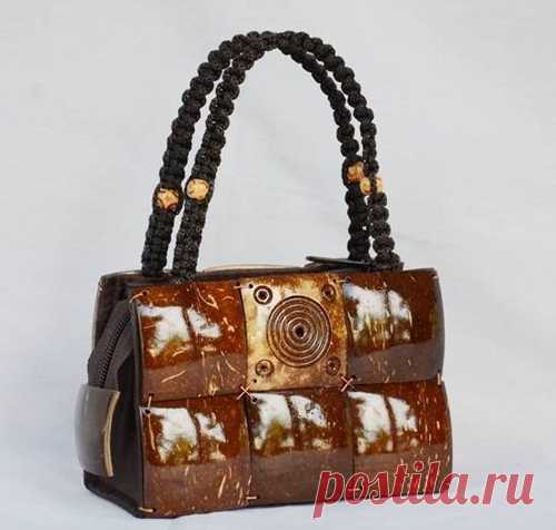 Что можно сделать из кокоса: идеи для творчества