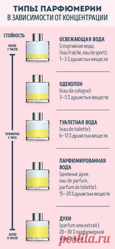 Руководство для тех, кто хочет разбираться в парфюме (9 картинок) » RadioNetPlus.ru развлекательный портал