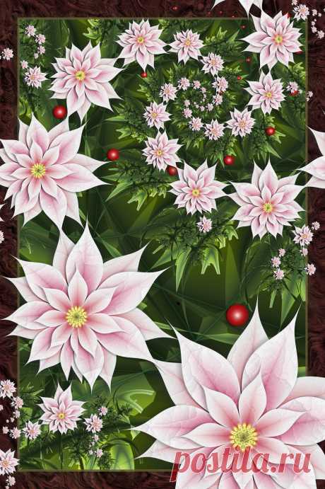 Christmas Poinsettias 2010 by Shadoweddancer on DeviantArt