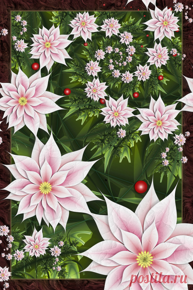 Christmas Poinsettias 2010 by Shadoweddancer on DeviantArt