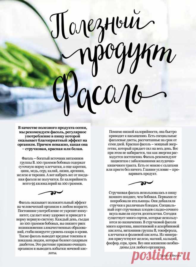 Фасоль полезный продукт