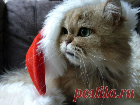 С НОВЫМ ГОДОМ!