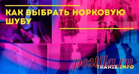 В этой статье наши эксперты расскажут про все нюансы выбора норковой шубы. Мы так же познакомим Вас с достоинствами и недостатками наиболее популярных производителей.