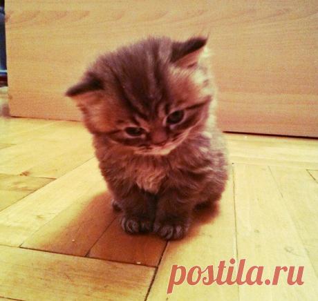 Мой Мир@Mail.Ru