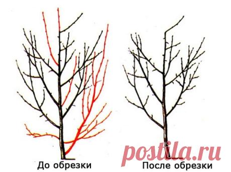 (2) Одноклассники
