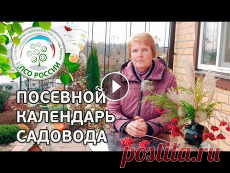 Посевной календарь садовода. Как составить календарь огородника. Посевной календарь садовода. Как не допустить ошибок при посадках. Как облегчить свои садово-огородные работы в следующем сезоне. Вера Лаврентьевна, р...