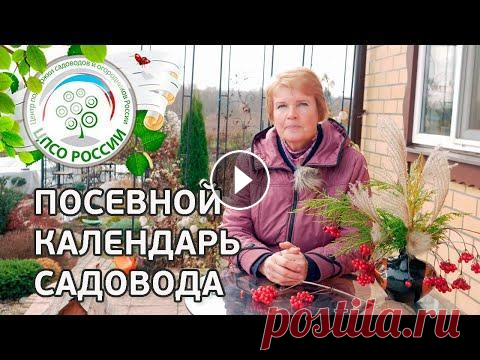 Посевной календарь садовода. Как составить календарь огородника. Посевной календарь садовода. Как не допустить ошибок при посадках. Как облегчить свои садово-огородные работы в следующем сезоне. Вера Лаврентьевна, р...