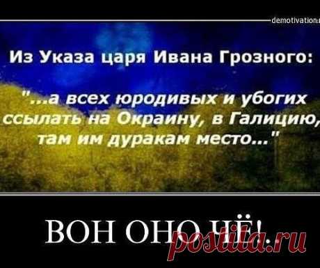 Немного на тему Украины