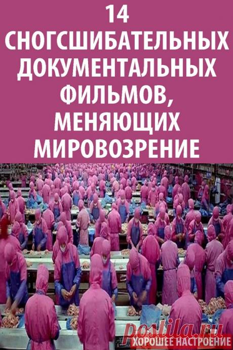 14 сногсшибательных документальных фильмов, меняющих мировозрение