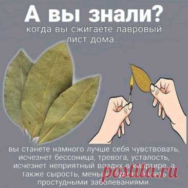 Изображение пина-истории