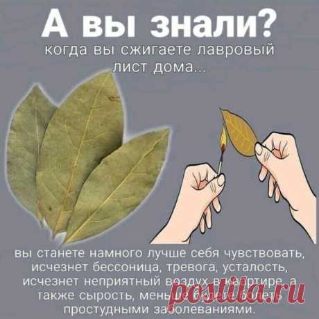 Изображение пина-истории