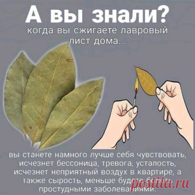 Изображение пина-истории