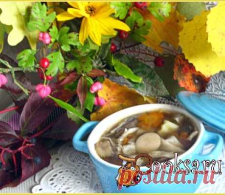 Грибной суп с лапшой из лаваша.