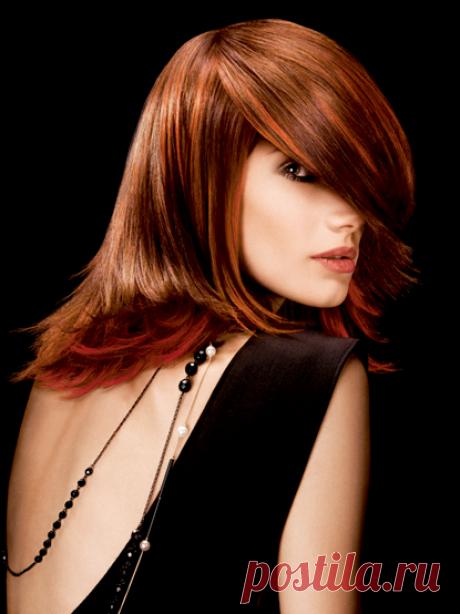 Как покрасить волосы хной с кофе в черный, шоколадный, каштановый цвет правильно: видео-инструкция по покраске светлых локонов своими руками в домашних условиях, фото и цена