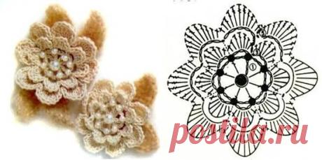 Freeform, Irish crochet - orsosolo2 - Веб-альбомы Picasa
